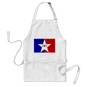 Apron med Flagga San Antonio City, USA Förkläde