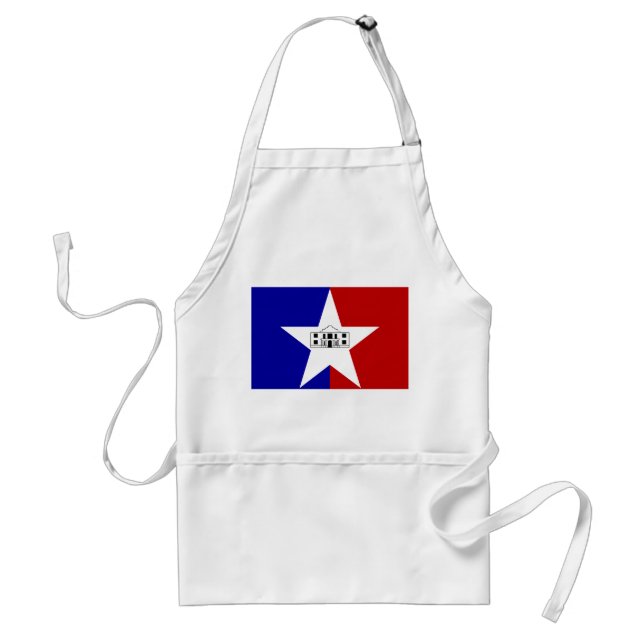 Apron med Flagga San Antonio City, USA Förkläde (Framsidan)