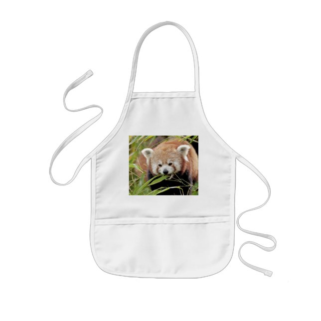 Apron Photo Red panda , djur 0109. Barnförkläde (Framsidan)