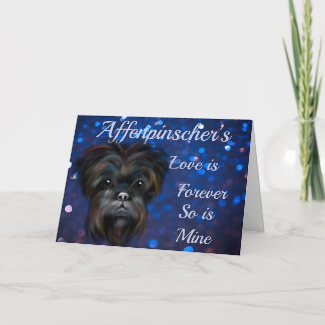 APTERPINSCHER  KORT (Framsida)