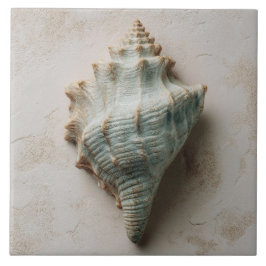 Aqua and Sand Coastal Conch Shell Kakelplatta