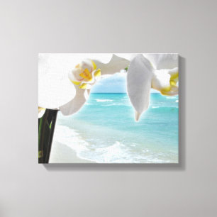 Aqua Beach Orchid Canvastryck