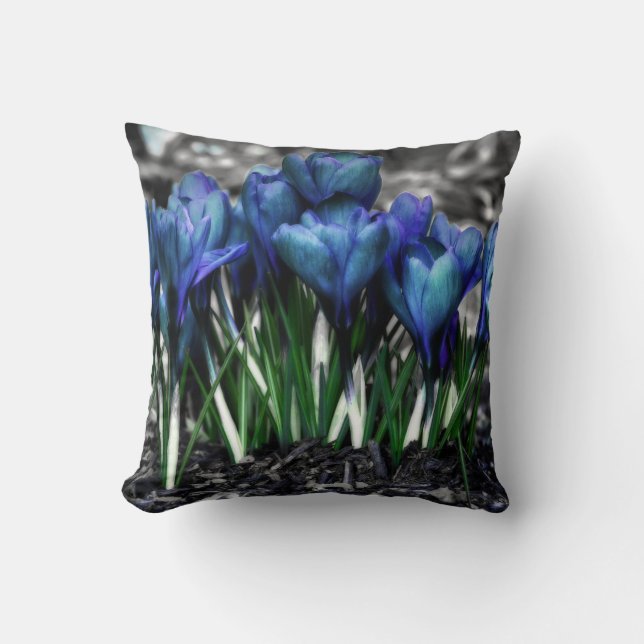 Aqua Blue Crocus Blooms Kudde (Framsida)