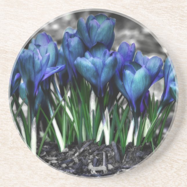 Aqua Blue Crocus Blooms Underlägg (Framsidan)