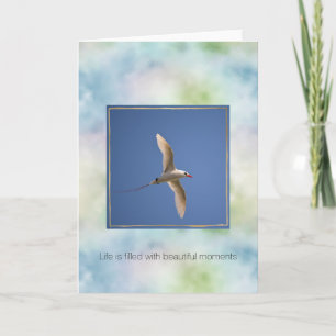 Aqua Blue Grönt Hawaii Ocean Bird Kort