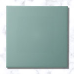 Aqua Blue Solid Färg Kakelplatta<br><div class="desc">Aqua Blue Solid Färg</div>