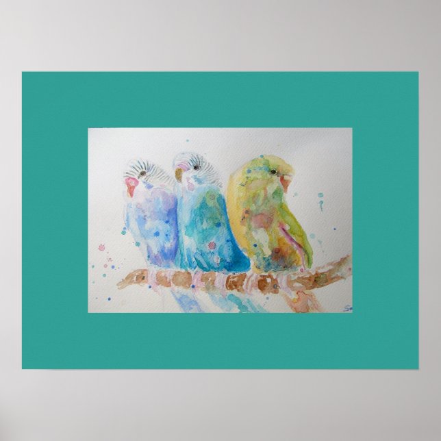 Aqua Budgie budgies söta Watercolor art Poster (Framsidan)