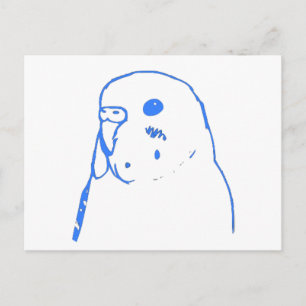 Aqua Budgie Porträtt Vykort