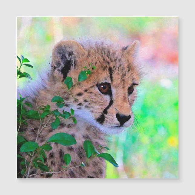 Aqua_Cheetah_20180102 (Framsida)