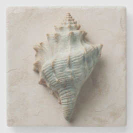 Aqua Conch Shell Coastal Art Stenunderlägg