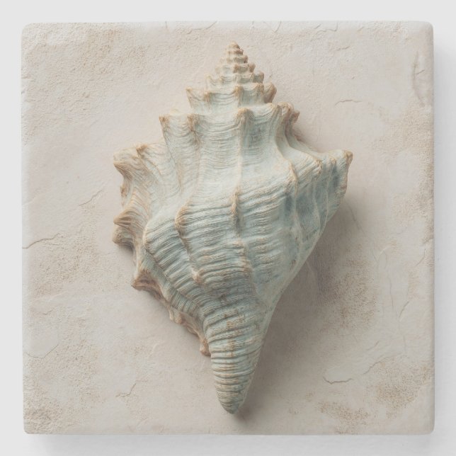 Aqua Conch Shell Coastal Art Stenunderlägg (Framsidan)