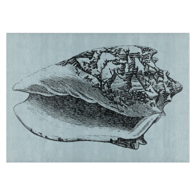 Aqua Conch-Snäcka (Framsidan)