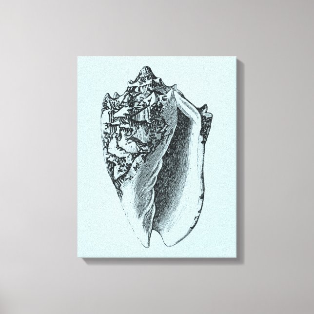 Aqua Conch-Snäcka Canvastryck (Framsida)
