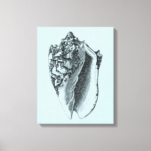 Aqua Conch-Snäcka Canvastryck
