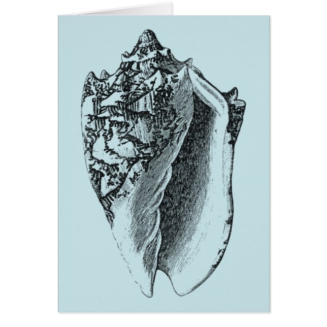 Aqua Conch-Snäcka Hälsningskort (Framsidan)