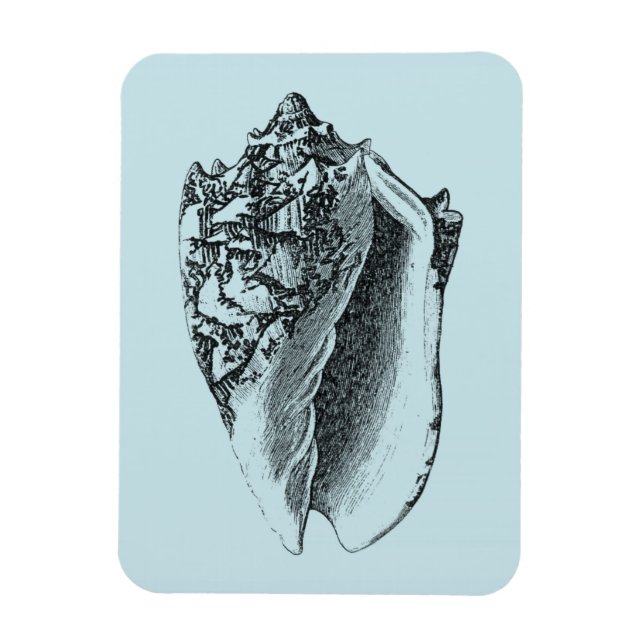 Aqua Conch-Snäcka Magnet (Vertikal)
