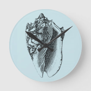Aqua Conch-Snäcka Rund Klocka