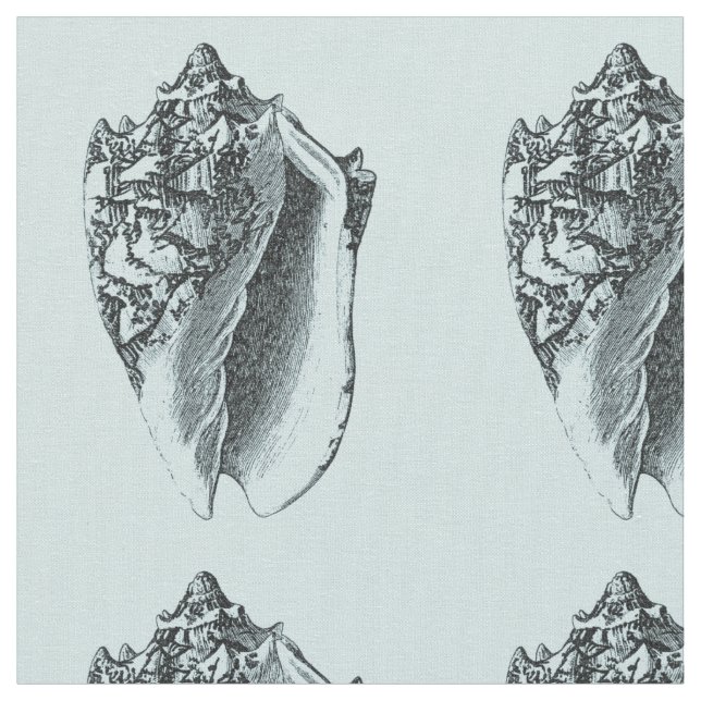 Aqua Conch-Snäcka Tyg (Närbild)