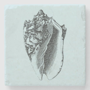 Aqua Conch-Snäcka Underlägg Sten