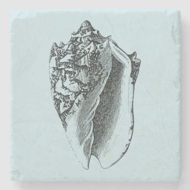 Aqua Conch-Snäcka Underlägg Sten (Framsidan)