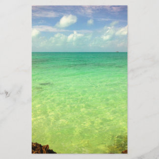 Aqua Grönt Ocean | Turks- och Caicofoto