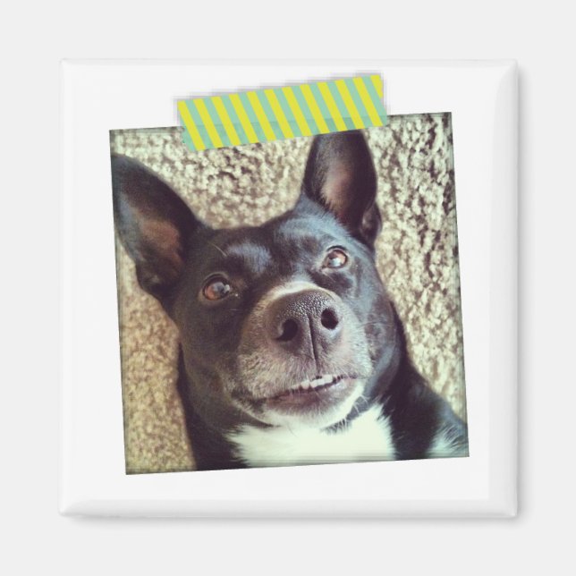 Aqua och Gult Washi Tape Instagram Magnet (Framsidan)