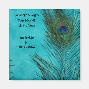 Aqua Peacock Feathers Bröllop Magnet