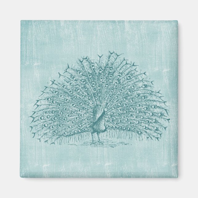 Aqua Peacock Magnet (Framsidan)