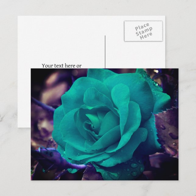 Aqua Ro Flower Personlig Vykort (Fram/baksida)