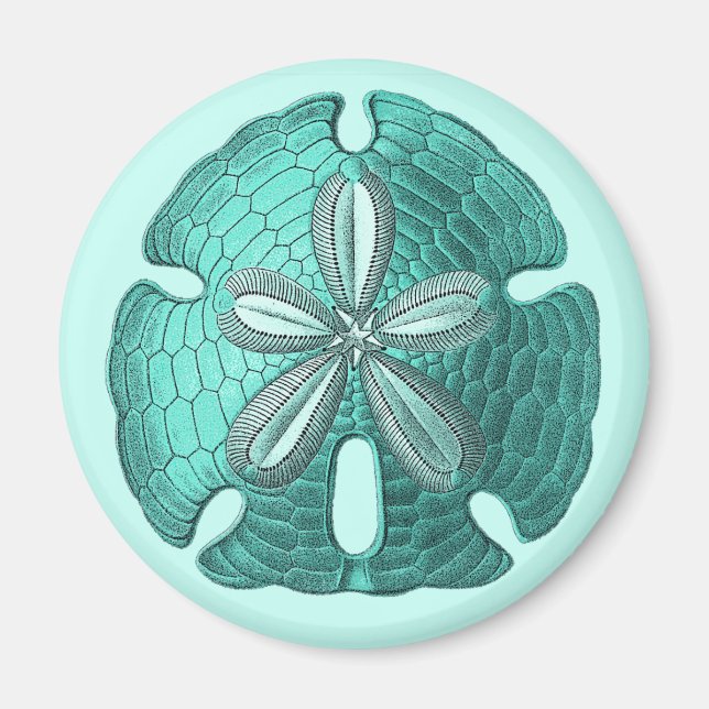 Aqua Sand Dollar Magnet (Framsidan)