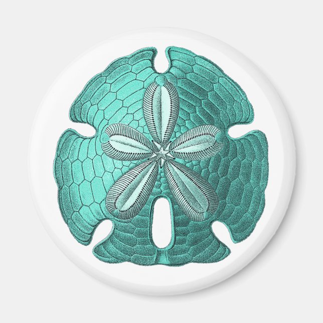Aqua Sand Dollar Magnet (Framsidan)