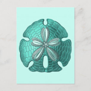 Aqua Sand Dollar Vykort