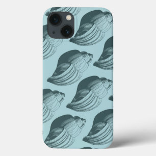 Aqua Teal Blue-Snäckor
