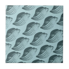 Aqua Teal Blue-Snäckor Kakelplatta