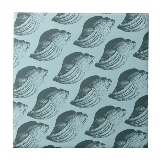 Aqua Teal Blue-Snäckor Kakelplatta (Framsidan)