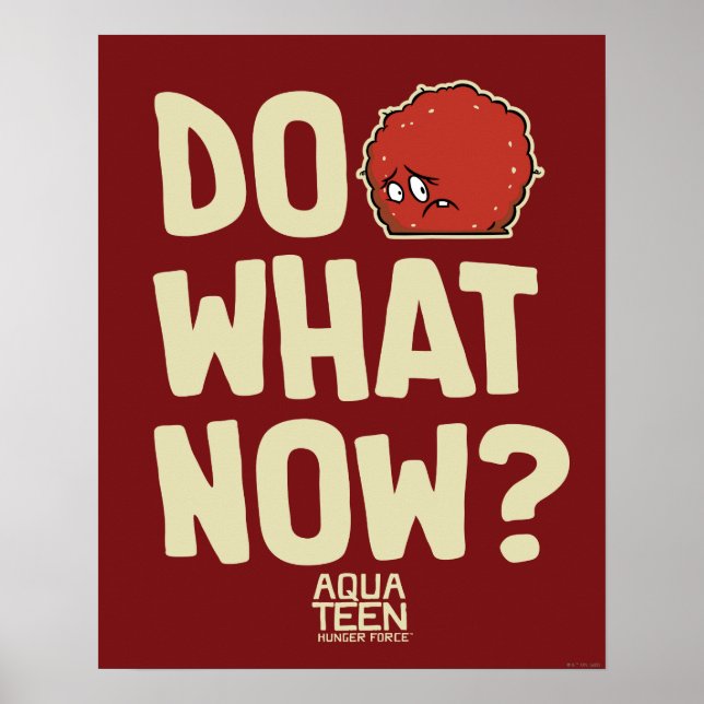 Aqua Teen Hunger Force Meatwad "Do What Now?" Poster (Framsidan)
