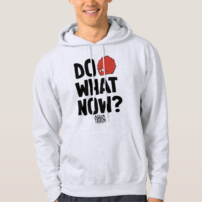 Aqua Tonåring Hungrig Force Meatwad "Do What Now"? Hoodie (Framsida)