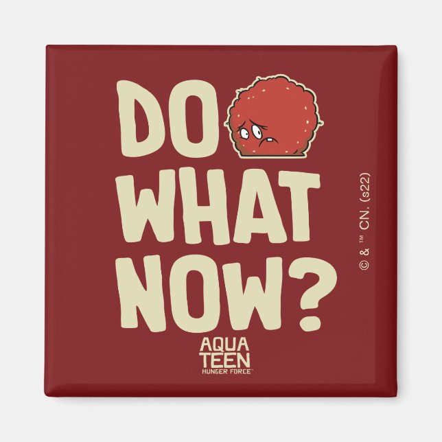 Aqua Tonåring Hungrig Force Meatwad "Do What Now"? Magnet (Framsidan)