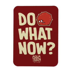 Aqua Tonåring Hungrig Force Meatwad "Do What Now"? Magnet