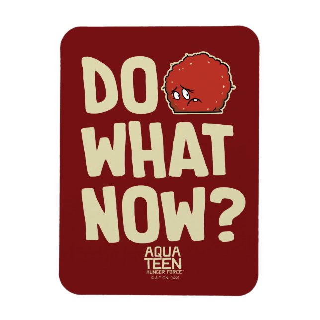 Aqua Tonåring Hungrig Force Meatwad "Do What Now"? Magnet (Vertikal)