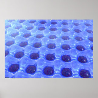 Aquakul Poster