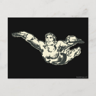 Aquaman Soars BW Vykort