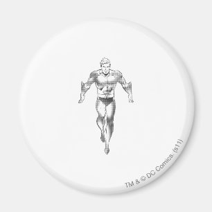 Aquaman Springa BW Magnet