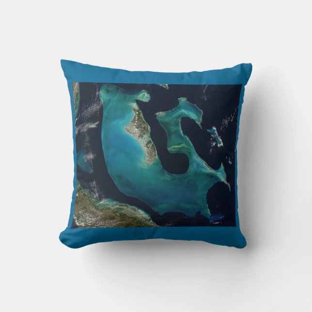 Aquamarine abstrakt Bahamas Kudde (Framsida)