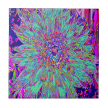 Aquamarine Rainbow Färg Abstrakt Dahlia Flower