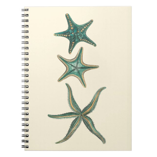 Aquamarine Triple Starfish Anteckningsbok Med Spiral (Framsidan)