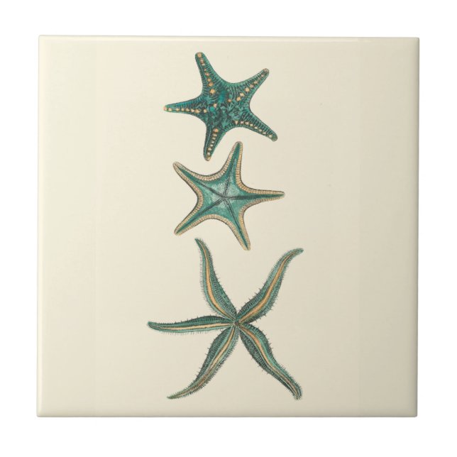 Aquamarine Triple Starfish Kakelplatta (Framsidan)