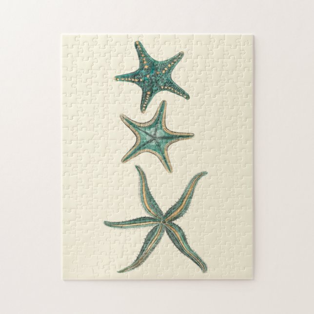Aquamarine Triple Starfish Pussel (Vertikal)