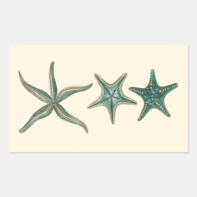 Aquamarine Triple Starfish Rektangulärt Klistermärke (Framsida)