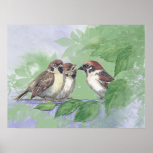 Aquarell Mor Sparv Föda Ungar Poster